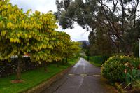 623 Schottland,  Inverewe Garden am Loch Ewe