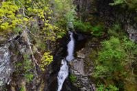 637 Schottland, Corrieshalloch Gorge, the Falls of Mesach