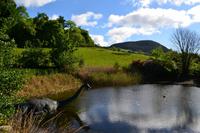 640 Schottland, Nessy