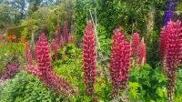 101 - Cawdor Castle