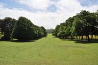 Mount Edgcumbe in Cornwall