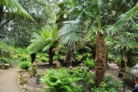 Mount Edgcumbe in Cornwall