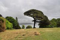 Mount Edgcumbe in Cornwall