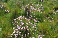 Von Sennen Cove nach Land's End