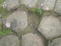 Giant's Causeway