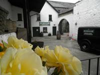 Whiskey Destillery in Kilbeggan