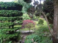 Japanischer Garten Nationalgestüt Kildare