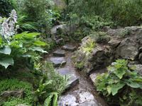 Japanischer Garten Nationalgestüt Kildare