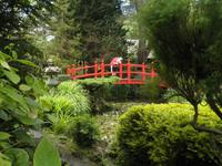 Japanischer Garten Nationalgestüt Kildare