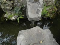 Japanischer Garten Nationalgestüt Kildare