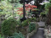 Japanischer Garten Nationalgestüt Kildare