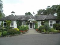 Nationalgestüt Kildare