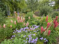 Nationalgestüt Kildare