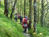 Loch Lomond - West Highland Way