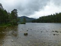 Rothiemurchus Forrest - Loch an Eilin