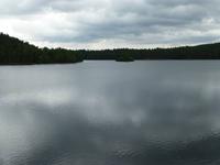 Rothiemurchus Forrest - Loch an Eilin