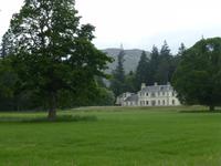 Rothiemurchus Forrest
