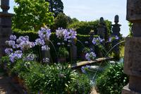 0032 Arundel Castle & Gardenl