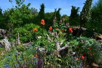 0034 Arundel Castle & Gardenl