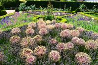 0040 Arundel Castle & Gardenl