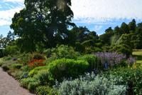 0106 Killerton House & Garden