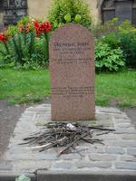 Er wartete viele Jahre auf seinen Herrn. Nun bringt man ihm Stöckchen. Bobby.