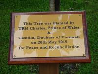 Versöhnungsbaumtafel in Drumcliff