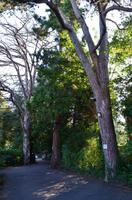 064 Canterbury, Best Western Abbots Barton, Einfahrt