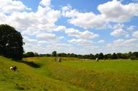 078 Avebury, Steinkreis