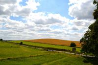 080 Avebury, Prozessionsstraße