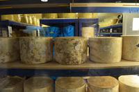 194 Cheddar Cheese Company