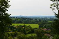 196 Mendip Hills, Blick zum Glastonbury Tor