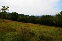 199 Mendip Hills, Wanderweg Cheddar Gorge