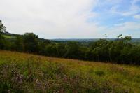201 Mendip Hills, Wanderweg Cheddar Gorge