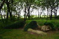 249 The Lost Gardens of Heligan