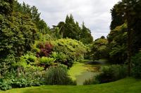 250 The Lost Gardens of Heligan