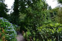 256 The Lost Gardens of Heligan