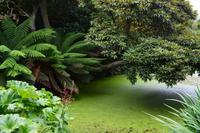 257 The Lost Gardens of Heligan