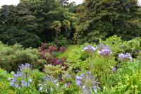 258 The Lost Gardens of Heligan