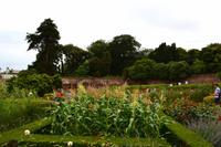 260 The Lost Gardens of Heligan