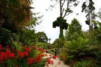 262 The Lost Gardens of Heligan