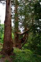 333 Greenway House, Garden