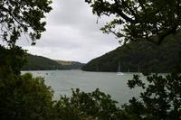 335 Greenway House, Garden