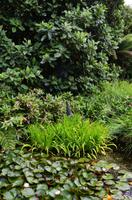 338 Greenway House, Garden