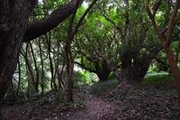 339 Greenway House, Garden