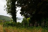 341 Greenway House, Garden