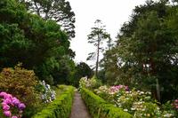 345 Greenway House, Garden