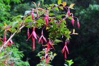 346 Greenway House, Garden