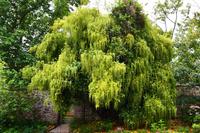 351 Greenway House, Garden