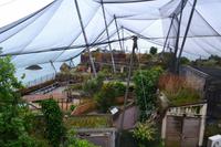 361 Torquay, Abendspaziergang